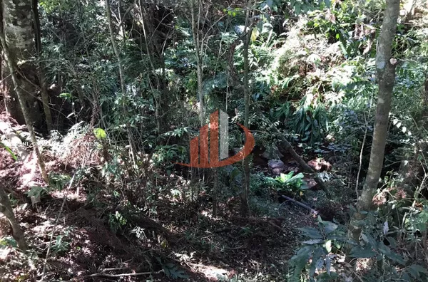Chácara para Venda em Pato Branco / PR no bairro Gralha Azul - Foto 8
