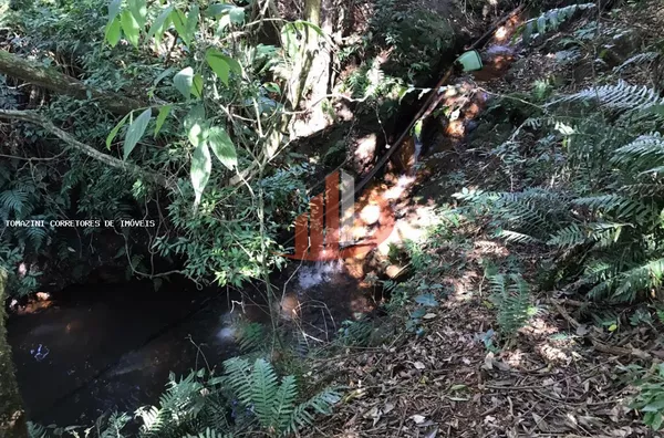 Chácara para Venda em Pato Branco / PR no bairro Gralha Azul - Foto 10