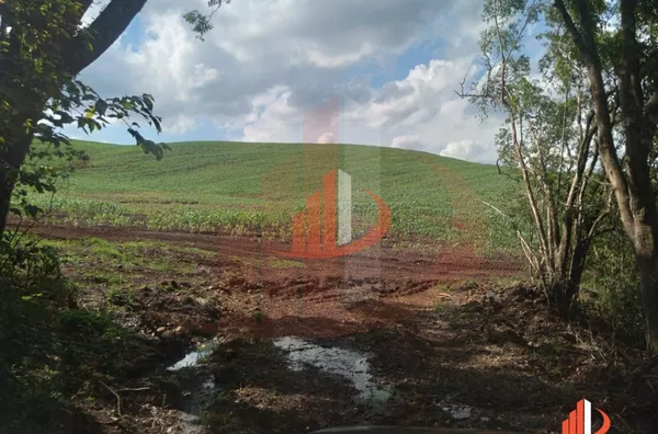 Fazenda para Venda em Nova Laranjeiras / PR - Foto 10