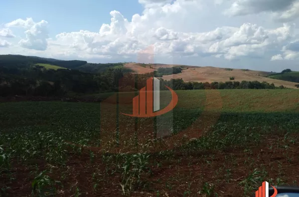 Fazenda para Venda em Nova Laranjeiras / PR - Foto 11