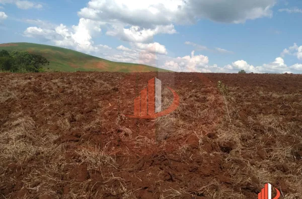 Fazenda para Venda em Nova Laranjeiras / PR - Foto 12