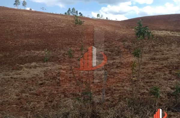 Fazenda para Venda em Nova Laranjeiras / PR - Foto 14