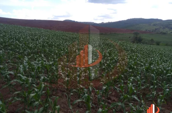 Fazenda para Venda em Nova Laranjeiras / PR - Foto 15