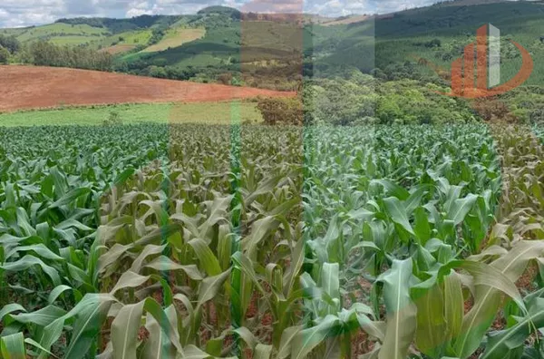 Fazenda para Venda em Nova Laranjeiras / PR