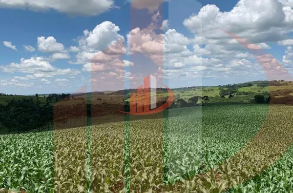 Fazenda para Venda em Nova Laranjeiras / PR - Foto 5