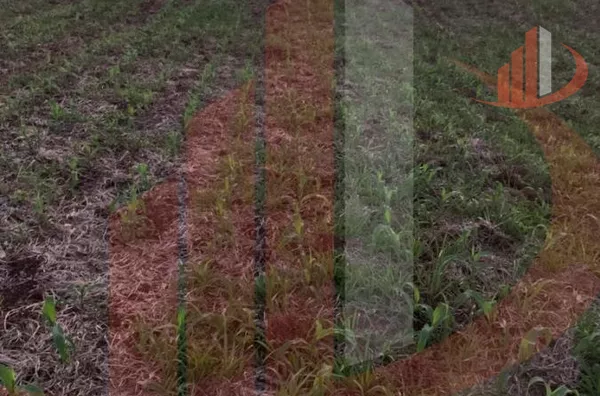 Fazenda para Venda em Nova Laranjeiras / PR