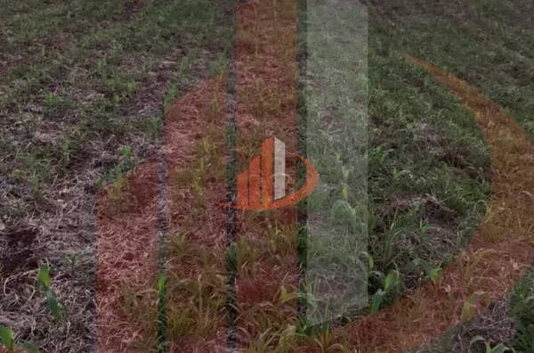 Fazenda para Venda em Nova Laranjeiras / PR - Foto 4