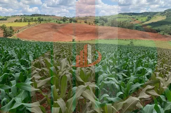 Fazenda para Venda em Nova Laranjeiras / PR - Foto 6