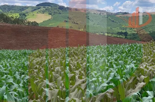 Fazenda para Venda em Nova Laranjeiras / PR