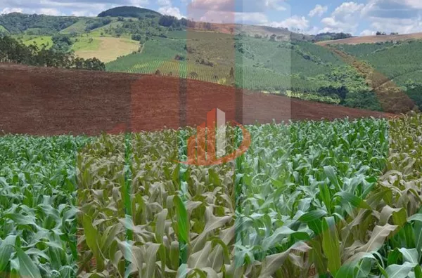 Fazenda para Venda em Nova Laranjeiras / PR - Foto 1