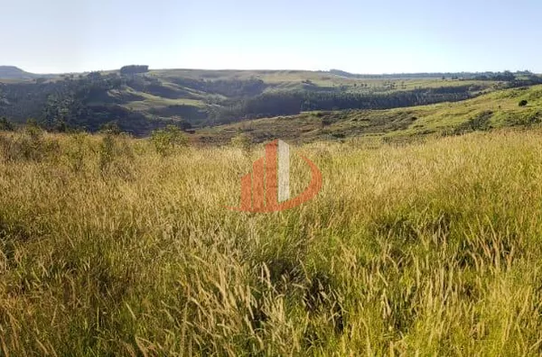 Fazenda para Venda em Guaraniaçu / PR no bairro Zona Rural