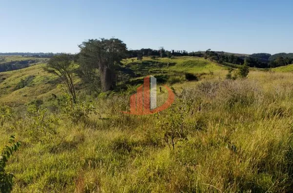 Fazenda para Venda em Guaraniaçu / PR no bairro Zona Rural