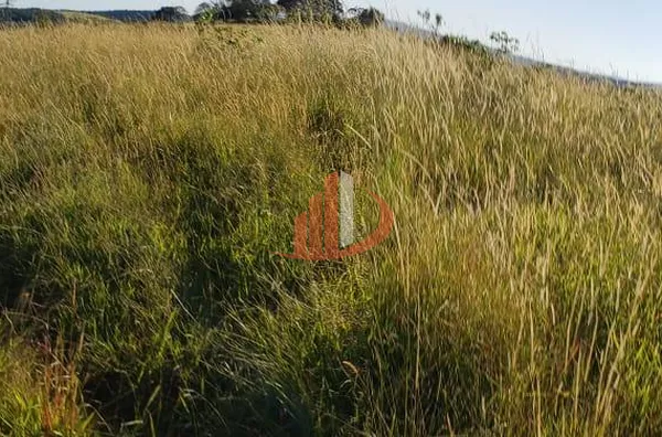 Fazenda para Venda em Guaraniaçu / PR no bairro Zona Rural - Foto 11