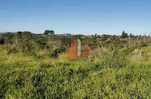 Fazenda para Venda em Guaraniaçu / PR no bairro Zona Rural - Foto 12