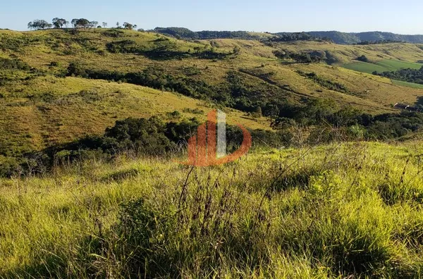 Fazenda para Venda em Guaraniaçu / PR no bairro Zona Rural - Foto 16