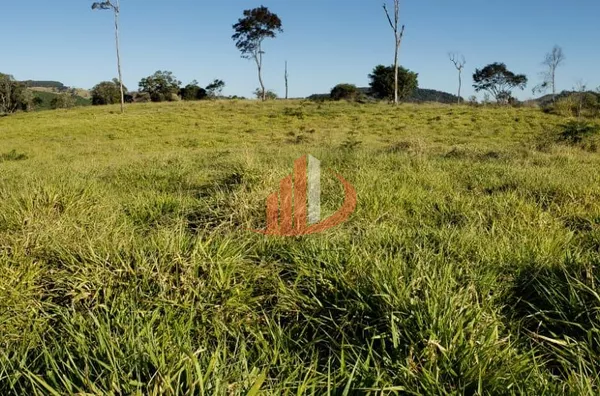 Fazenda para Venda em Guaraniaçu / PR no bairro Zona Rural - Foto 19
