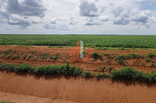 Fazenda para Venda em Jaborandi / BA no bairro Zona Rural - Foto 4
