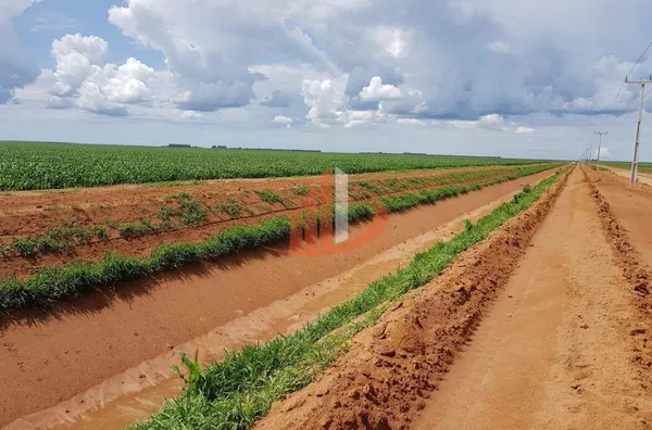 Fazenda para Venda em Jaborandi / BA no bairro Zona Rural - Foto 8
