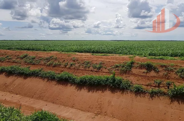 Fazenda para Venda em Jaborandi / BA no bairro Zona Rural