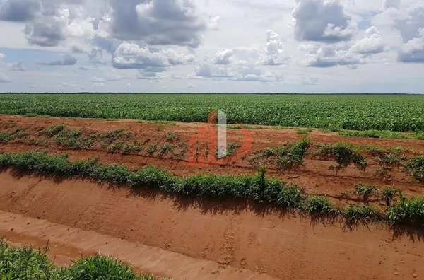 Fazenda para Venda em Jaborandi / BA no bairro Zona Rural - Foto 1