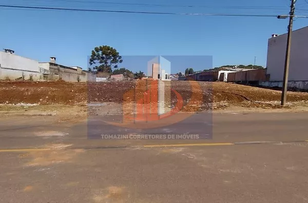 Terreno para Venda em Palmas / PR no bairro DIVINO - Foto 1