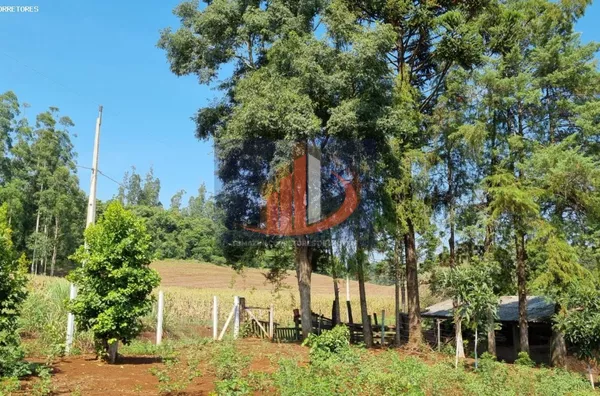 Chácara para Venda em Coronel Vivida / PR no bairro RONDINHA - Foto 27