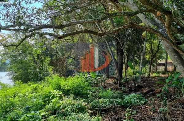 Chácara para Venda em Coronel Vivida / PR no bairro RONDINHA - Foto 7