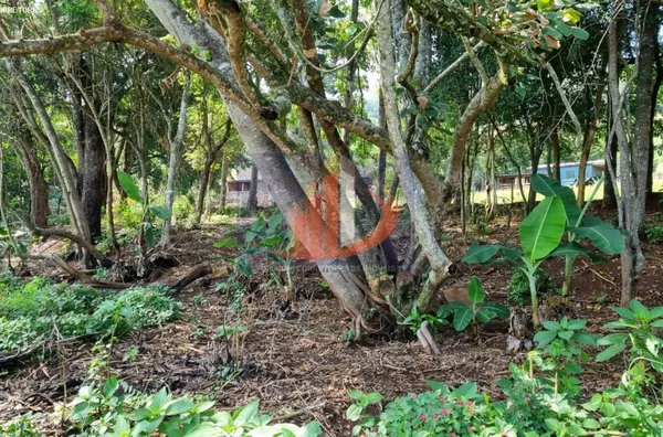 Chácara para Venda em Coronel Vivida / PR no bairro RONDINHA - Foto 8