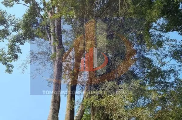 Chácara para Venda em Coronel Vivida / PR no bairro RONDINHA - Foto 9