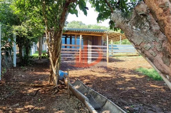 Chácara para Venda em Coronel Vivida / PR no bairro RONDINHA - Foto 11