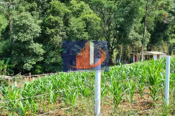Chácara para Venda em Coronel Vivida / PR no bairro LINHA SÃO PEDRO - Foto 4