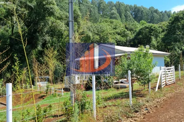 Chácara para Venda em Coronel Vivida / PR no bairro LINHA SÃO PEDRO - Foto 6