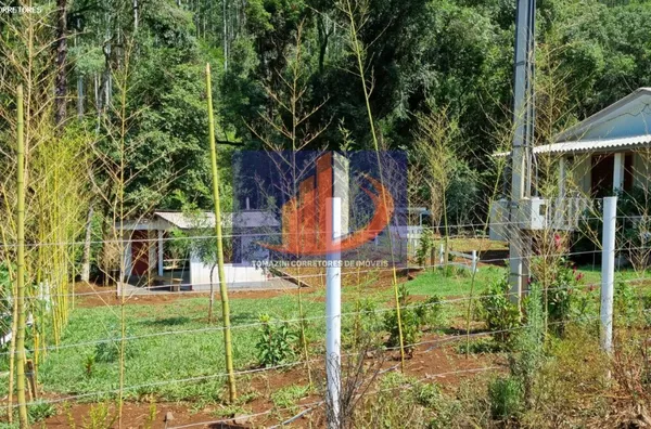 Chácara para Venda em Coronel Vivida / PR no bairro LINHA SÃO PEDRO - Foto 9