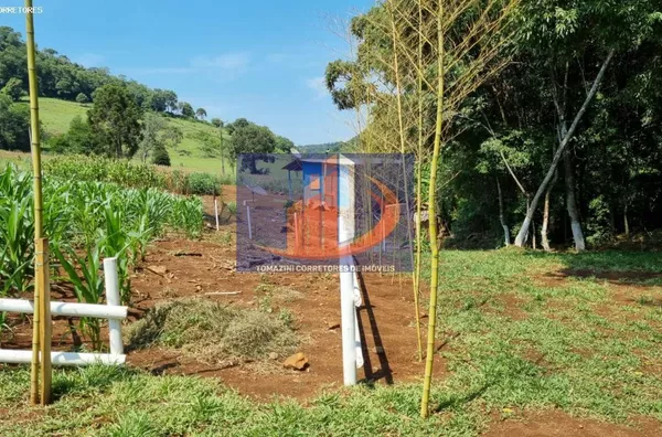 Chácara para Venda em Coronel Vivida / PR no bairro LINHA SÃO PEDRO - Foto 10