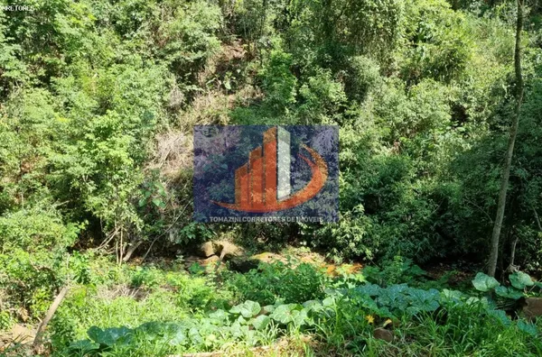 Chácara para Venda em Coronel Vivida / PR no bairro LINHA SÃO PEDRO - Foto 12