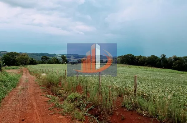 Área Rural para Venda em Clevelândia / PR no bairro Zona Rural
