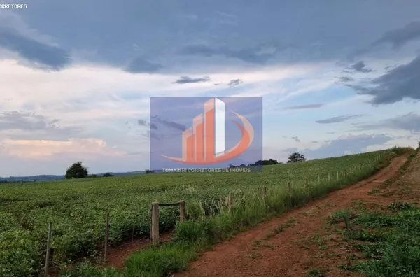 Área Rural para Venda em Clevelândia / PR no bairro Zona Rural - Foto 2
