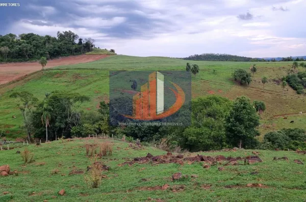 Área Rural para Venda em Clevelândia / PR no bairro Zona Rural - Foto 3