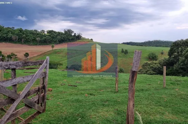 Área Rural para Venda em Clevelândia / PR no bairro Zona Rural - Foto 4