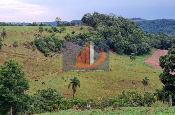 Área Rural para Venda em Clevelândia / PR no bairro Zona Rural - Foto 5