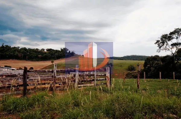 Área Rural para Venda em Clevelândia / PR no bairro Zona Rural - Foto 6