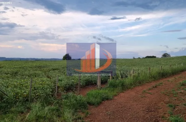 Área Rural para Venda em Clevelândia / PR no bairro Zona Rural - Foto 8