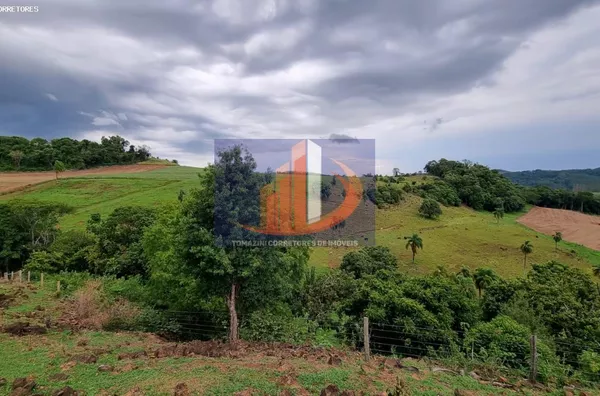 Área Rural para Venda em Clevelândia / PR no bairro Zona Rural - Foto 13