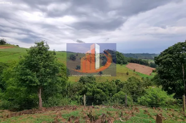 Área Rural para Venda em Clevelândia / PR no bairro Zona Rural - Foto 14