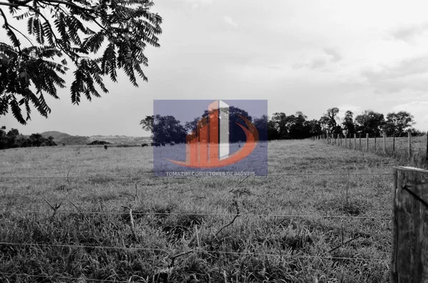 Área Rural para Venda em Clevelândia / PR no bairro Zona Rural - Foto 16