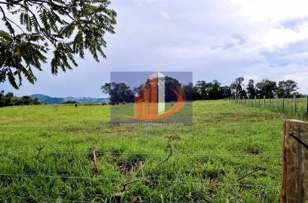 Área Rural para Venda em Clevelândia / PR no bairro Zona Rural - Foto 18