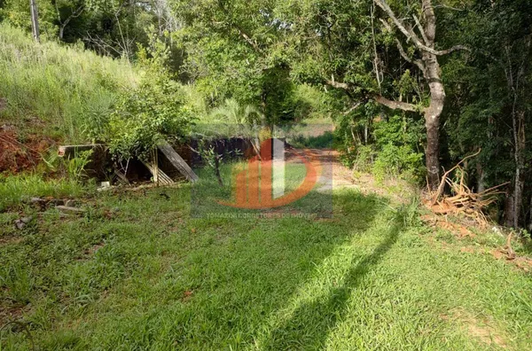 Chácara para Venda em Mangueirinha / PR no bairro Zona Rural - Foto 7