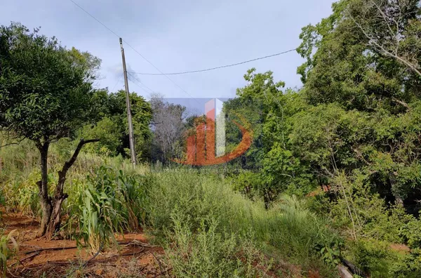 Chácara para Venda em Mangueirinha / PR no bairro Zona Rural - Foto 8