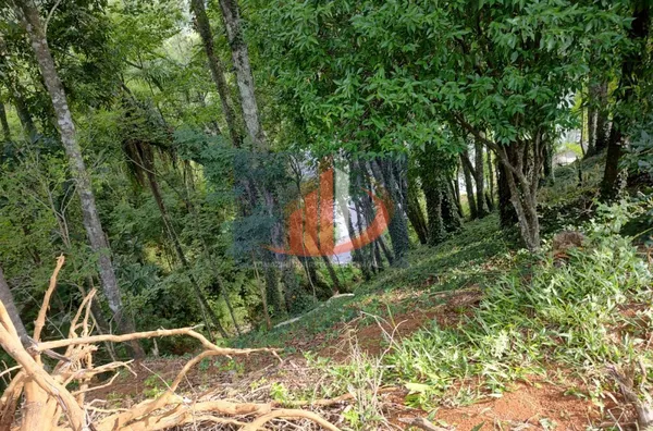 Chácara para Venda em Mangueirinha / PR no bairro Zona Rural - Foto 11