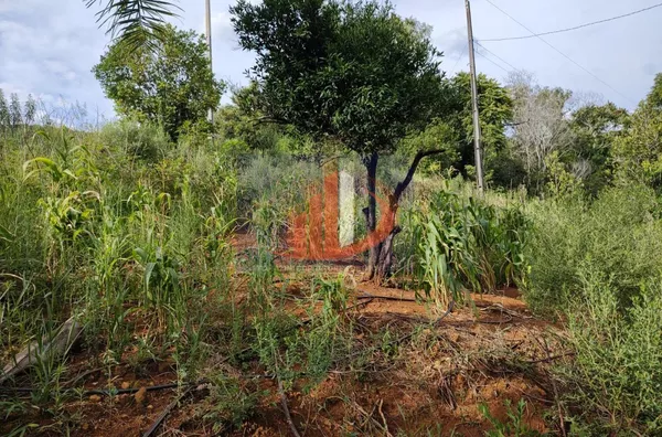 Chácara para Venda em Mangueirinha / PR no bairro Zona Rural - Foto 12